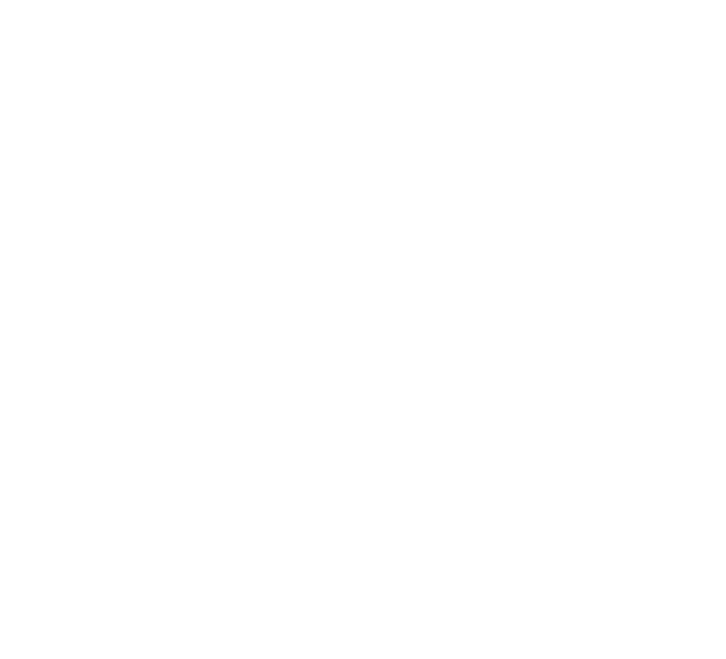 Graphic list of the four sustainability goals