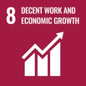 Decent Work and Economic Growth icon